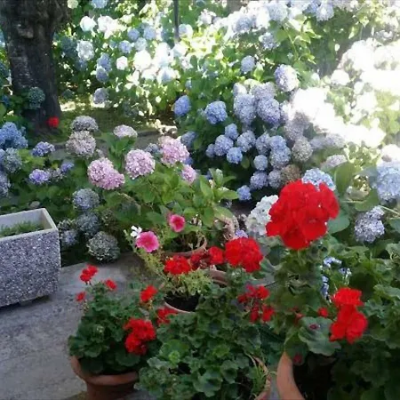 Apartment La In Montagna Vivo d'Orcia