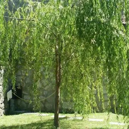 La In Montagna Διαμέρισμα